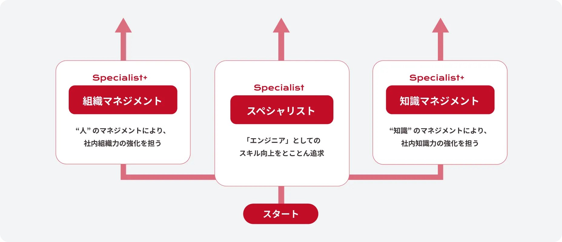 キャリアプランのフロー図